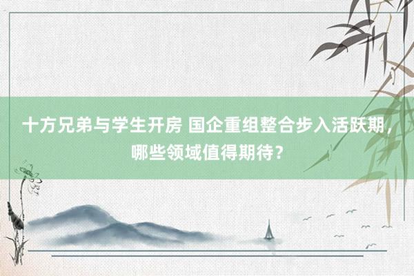 十方兄弟与学生开房 国企重组整合步入活跃期，哪些领域值得期待？