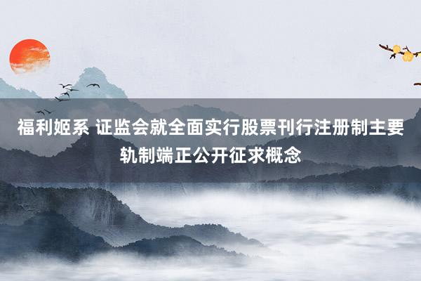 福利姬系 证监会就全面实行股票刊行注册制主要轨制端正公开征求概念