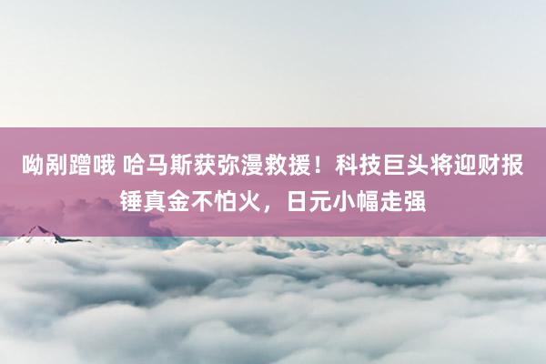 呦剐蹭哦 哈马斯获弥漫救援！科技巨头将迎财报锤真金不怕火，日元小幅走强