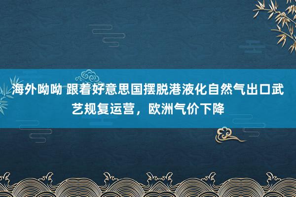 海外呦呦 跟着好意思国摆脱港液化自然气出口武艺规复运营，欧洲气价下降