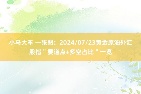 小马大车 一张图：2024/07/23黄金原油外汇股指＂要道点+多空占比＂一览