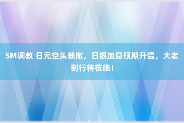 SM调教 日元空头裁撤，日银加息预期升温，大老到行将莅临！