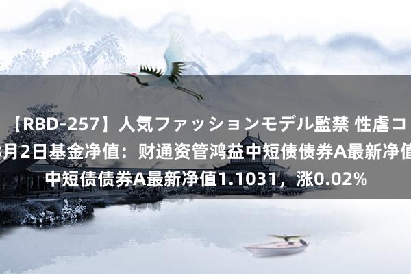 【RBD-257】人気ファッションモデル監禁 性虐コレクション3 AYA 8月2日基金净值：财通资管鸿益中短债债券A最新净值1.1031，涨0.02%