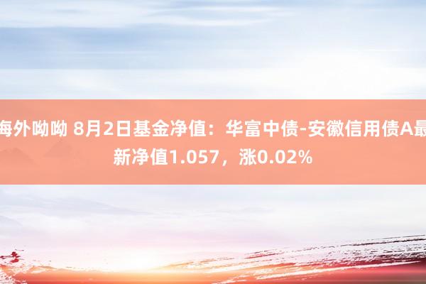 海外呦呦 8月2日基金净值：华富中债-安徽信用债A最新净值1.057，涨0.02%