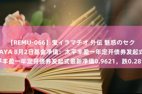 【REMU-066】鬼イラマチオ 外伝 魅惑のセクシーイラマチオ 芸能人AYA 8月2日基金净值：太平丰盈一年定开债券发起式最新净值0.9621，跌0.28%