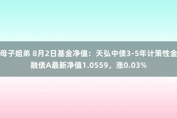 母子姐弟 8月2日基金净值：天弘中债3-5年计策性金融债A最新净值1.0559，涨0.03%