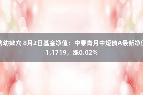 幼幼嫩穴 8月2日基金净值：中泰青月中短债A最新净值1.1719，涨0.02%