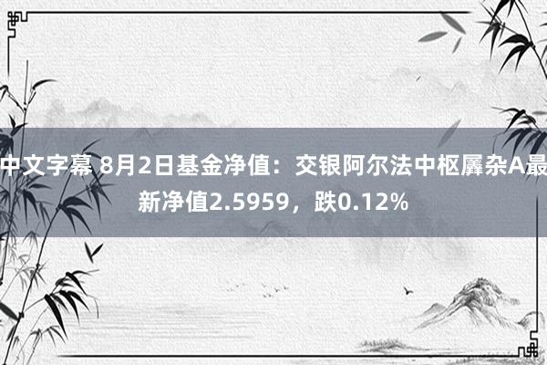 中文字幕 8月2日基金净值：交银阿尔法中枢羼杂A最新净值2.5959，跌0.12%