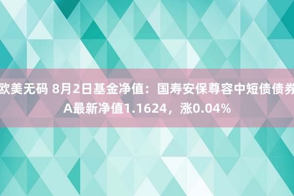 欧美无码 8月2日基金净值：国寿安保尊容中短债债券A最新净值1.1624，涨0.04%