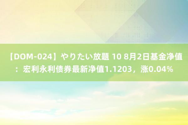 【DOM-024】やりたい放題 10 8月2日基金净值：宏利永利债券最新净值1.1203，涨0.04%