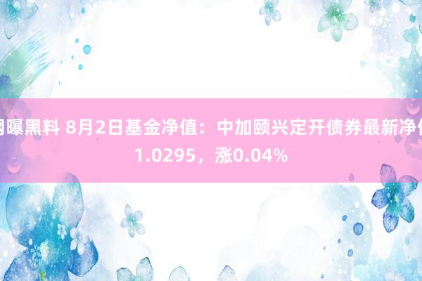 网曝黑料 8月2日基金净值：中加颐兴定开债券最新净值1.0295，涨0.04%