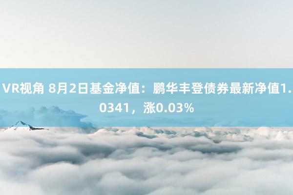 VR视角 8月2日基金净值：鹏华丰登债券最新净值1.0341，涨0.03%