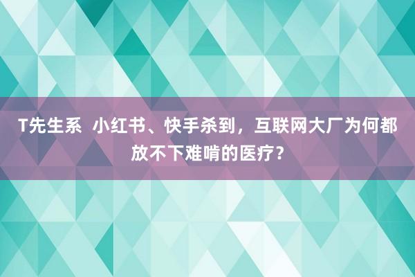 T先生系  小红书、快手杀到，互联网大厂为何都放不下难啃的医疗？