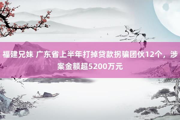 福建兄妹 广东省上半年打掉贷款拐骗团伙12个，涉案金额超5200万元