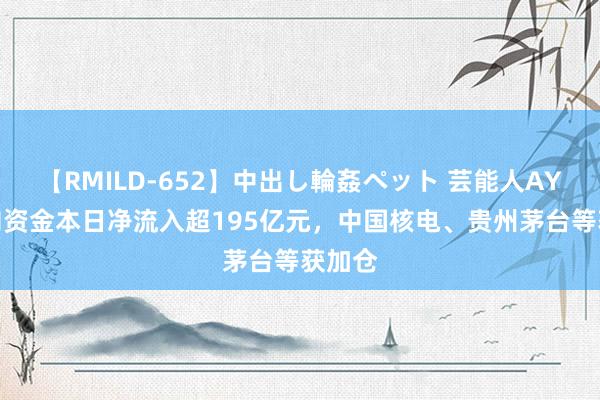 【RMILD-652】中出し輪姦ペット 芸能人AYA 北向资金本日净流入超195亿元，中国核电、贵州茅台等获加仓