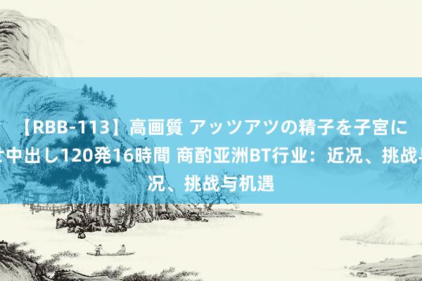 【RBB-113】高画質 アッツアツの精子を子宮に孕ませ中出し120発16時間 商酌亚洲BT行业：近况、挑战与机遇