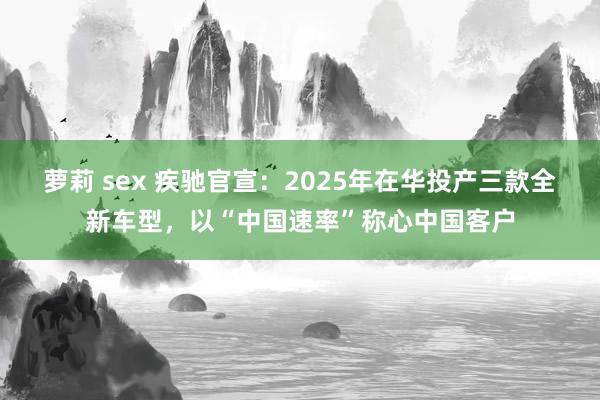 萝莉 sex 疾驰官宣：2025年在华投产三款全新车型，以“中国速率”称心中国客户