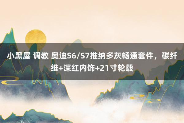 小黑屋 调教 奥迪S6/S7推纳多灰畅通套件，碳纤维+深红内饰+21寸轮毂