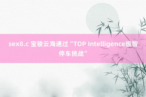 sex8.c 宝骏云海通过“TOP Intelligence极智停车挑战”