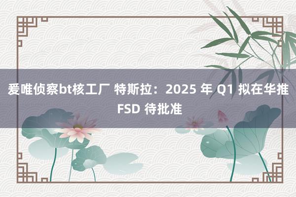 爰唯侦察bt核工厂 特斯拉：2025 年 Q1 拟在华推 FSD 待批准