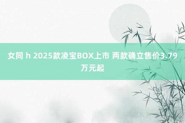 女同 h 2025款凌宝BOX上市 两款确立售价3.79万元起