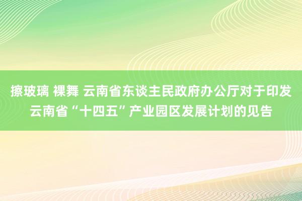 擦玻璃 裸舞 云南省东谈主民政府办公厅对于印发云南省“十四五”产业园区发展计划的见告