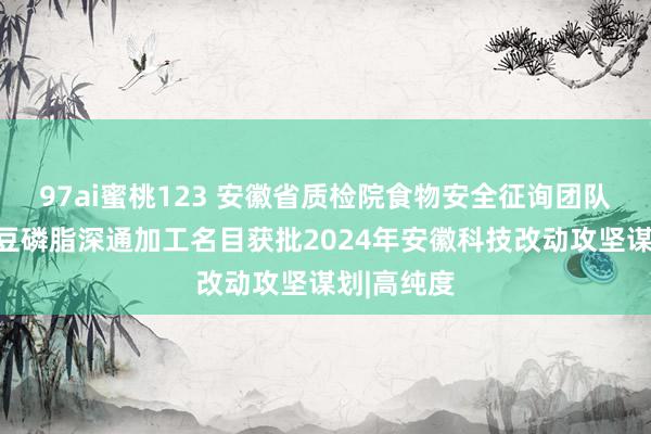 97ai蜜桃123 安徽省质检院食物安全征询团队申诉的大豆磷脂深通加工名目获批2024年安徽科技改动攻坚谋划|高纯度