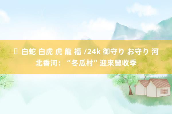 ✨白蛇 白虎 虎 龍 福 /24k 御守り お守り 河北香河：“冬瓜村”迎來豐收季